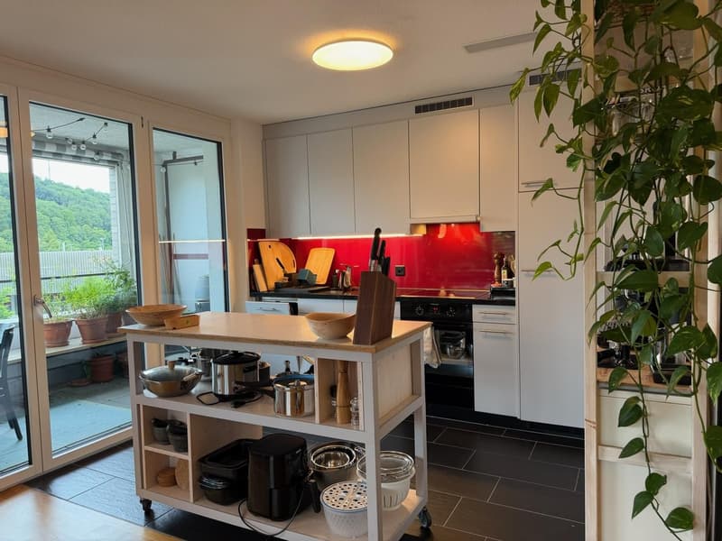 Bright 3.5-room apartment with balcony in Winterthur (3)