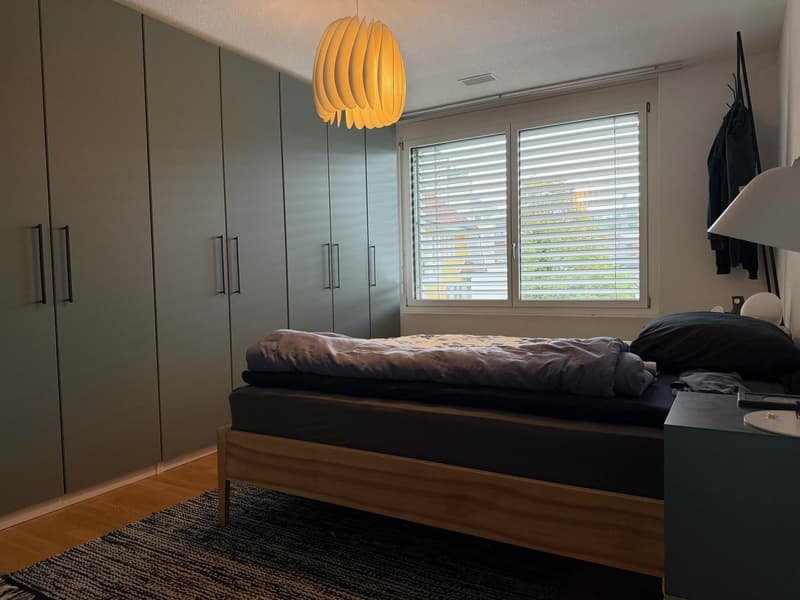 Bright 3.5-room apartment with balcony in Winterthur (6)