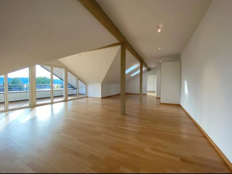 L'appartement de 4,5 pièces sous les toits (3)