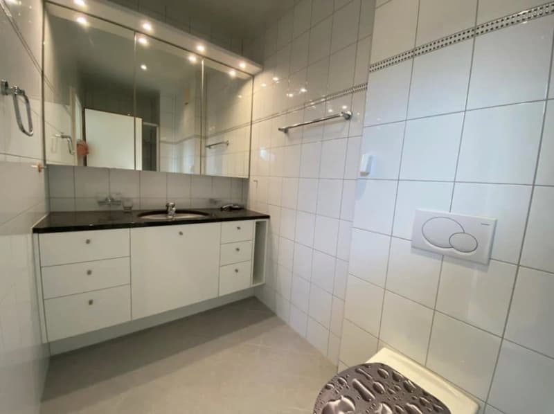 L'appartement de 4,5 pièces sous les toits (9)