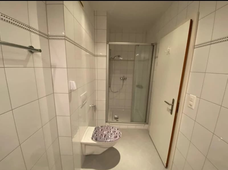 L'appartement de 4,5 pièces sous les toits (10)
