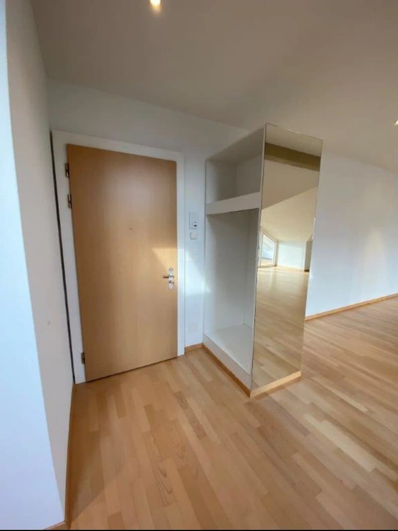 L'appartement de 4,5 pièces sous les toits (4)
