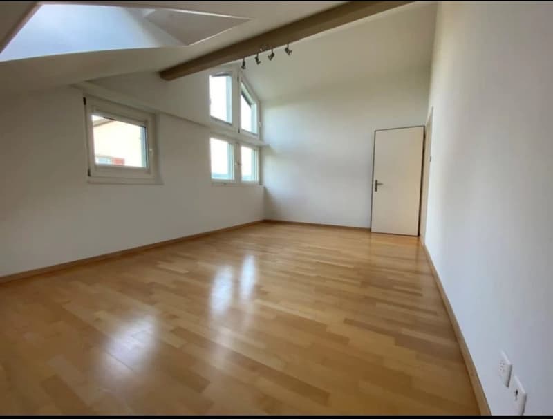 L'appartement de 4,5 pièces sous les toits (5)