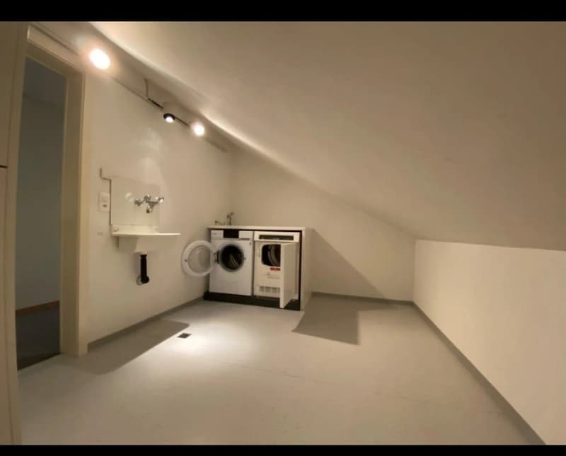 L'appartement de 4,5 pièces sous les toits (11)
