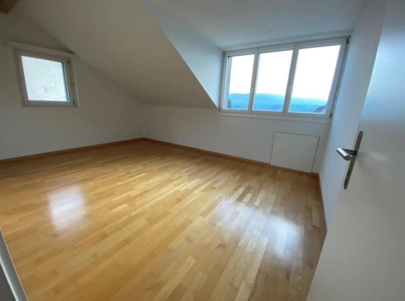 L'appartement de 4,5 pièces sous les toits (7)