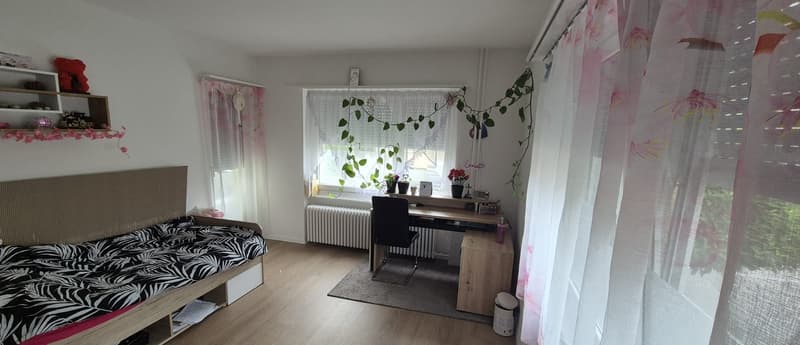 I am looking for a subtenant (12)