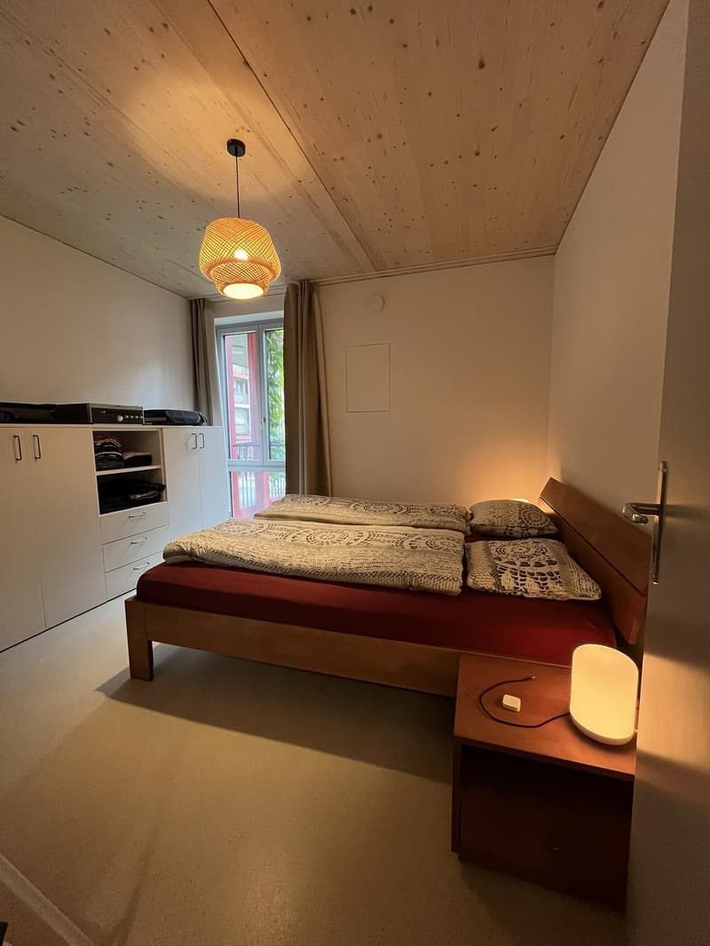 Moderne, helle 2.5 Zimmer Wohnung in Winterthur (5)