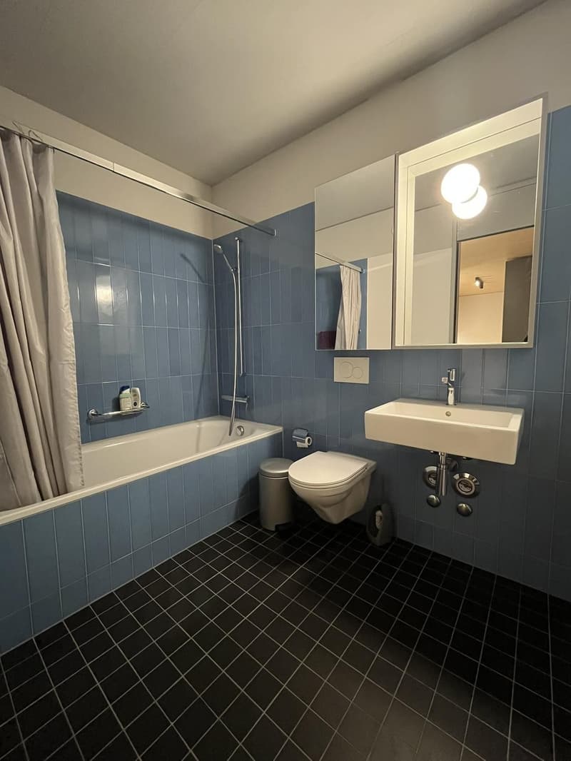 Moderne, helle 2.5 Zimmer Wohnung in Winterthur (4)