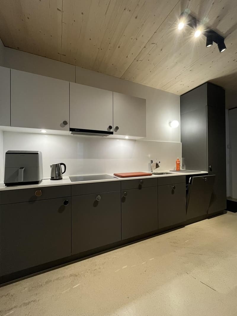 Moderne, helle 2.5 Zimmer Wohnung in Winterthur (3)
