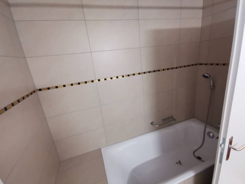 4 ½ Zimmer-Wohnung, 8247 Flurlingen (6)