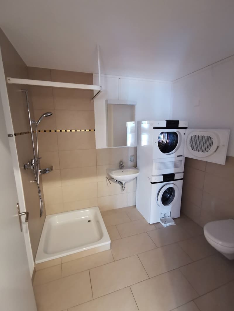 4 ½ Zimmer-Wohnung, 8247 Flurlingen (4)