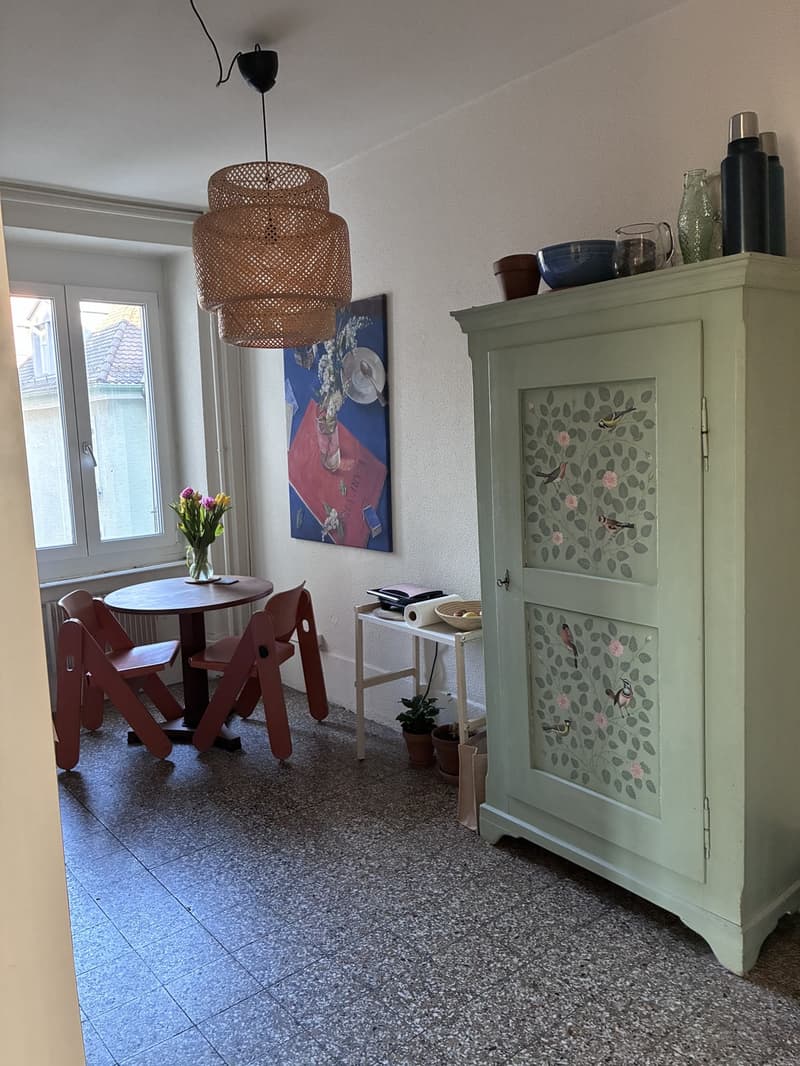 Helles möbliertes 3-Zimmer-Apartment mit sonnigem Balkon im Herzen von Zürich (19. Juni - 31. Juli) (8)