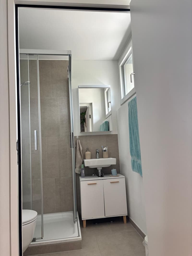 Modern 3.5 rooms in quiet and central location (11)
