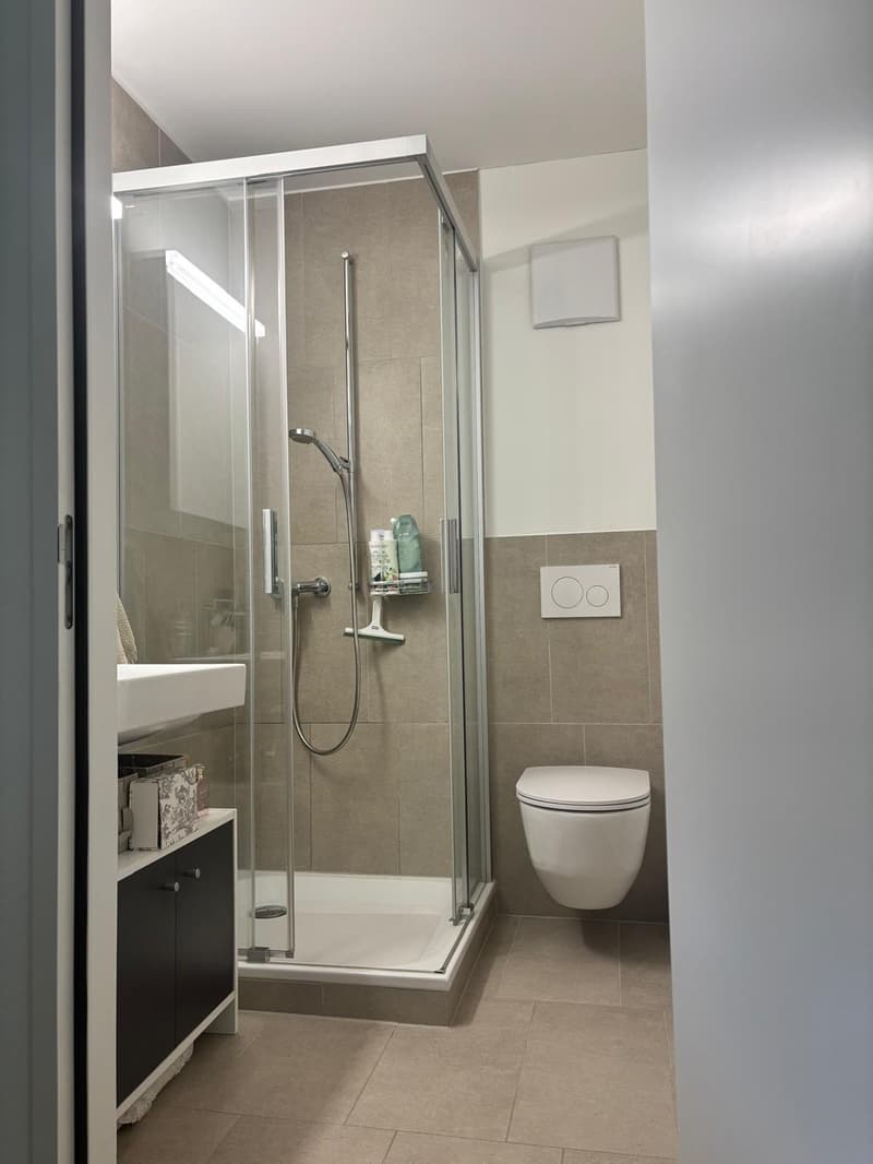Modern 3.5 rooms in quiet and central location (7)