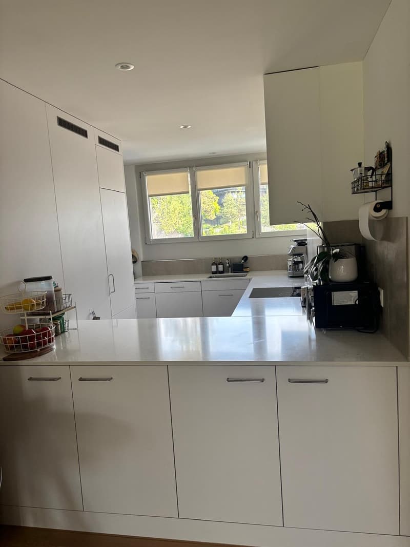 Modern 3.5 rooms in quiet and central location (5)
