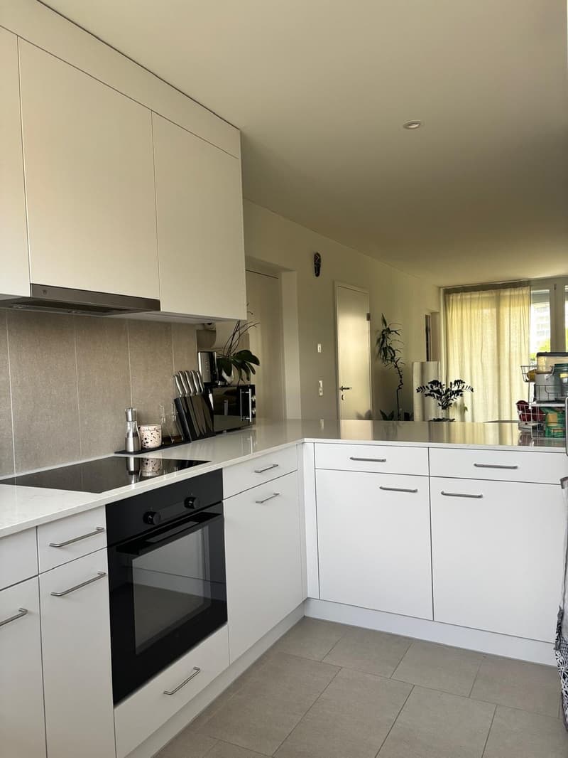 Modern 3.5 rooms in quiet and central location (4)