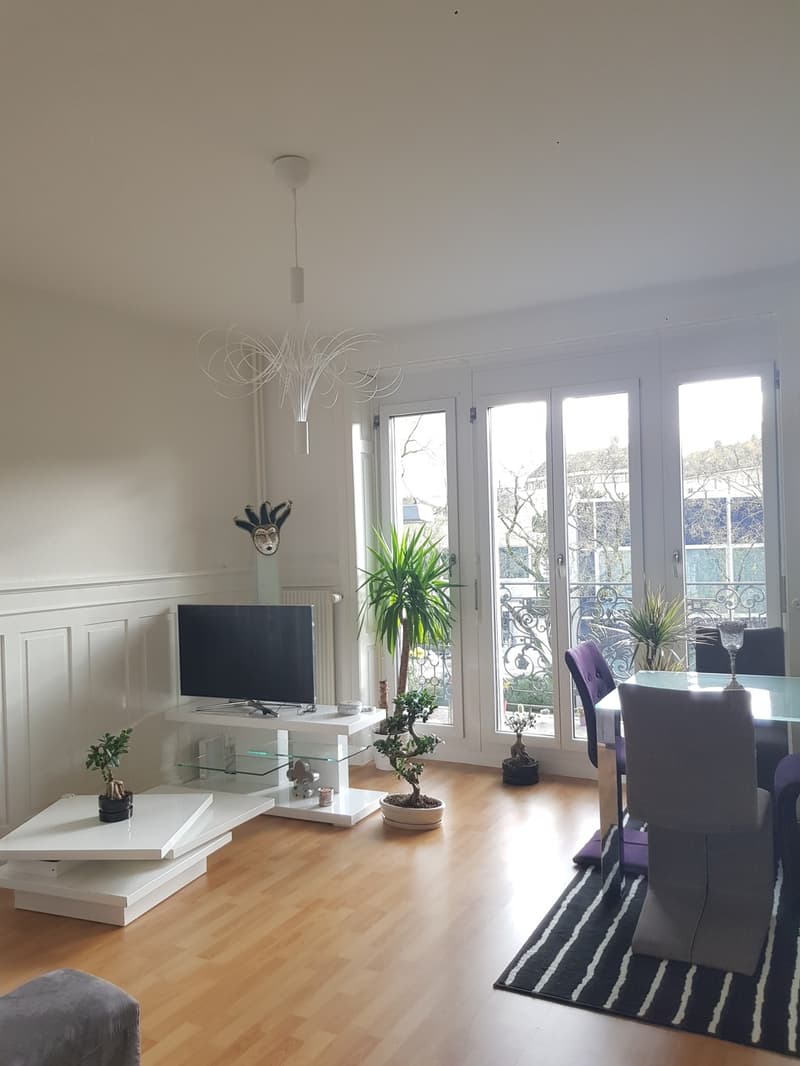 Wohnung zur Untervermietung (1)
