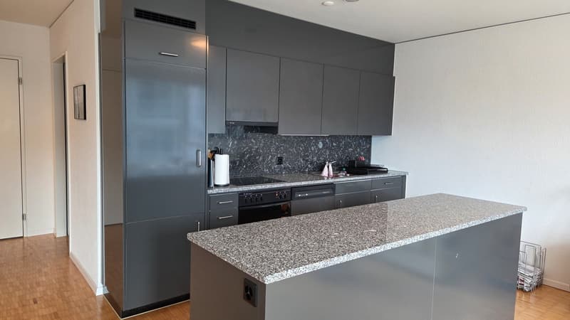 Appartement moderne et lumineux de 2 pièces directement à la gare de Baden (2)