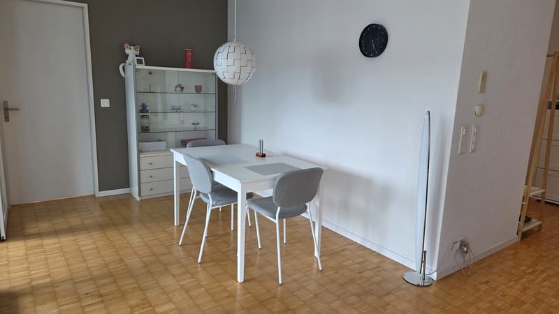 Appartement moderne et lumineux de 2 pièces directement à la gare de Baden (3)