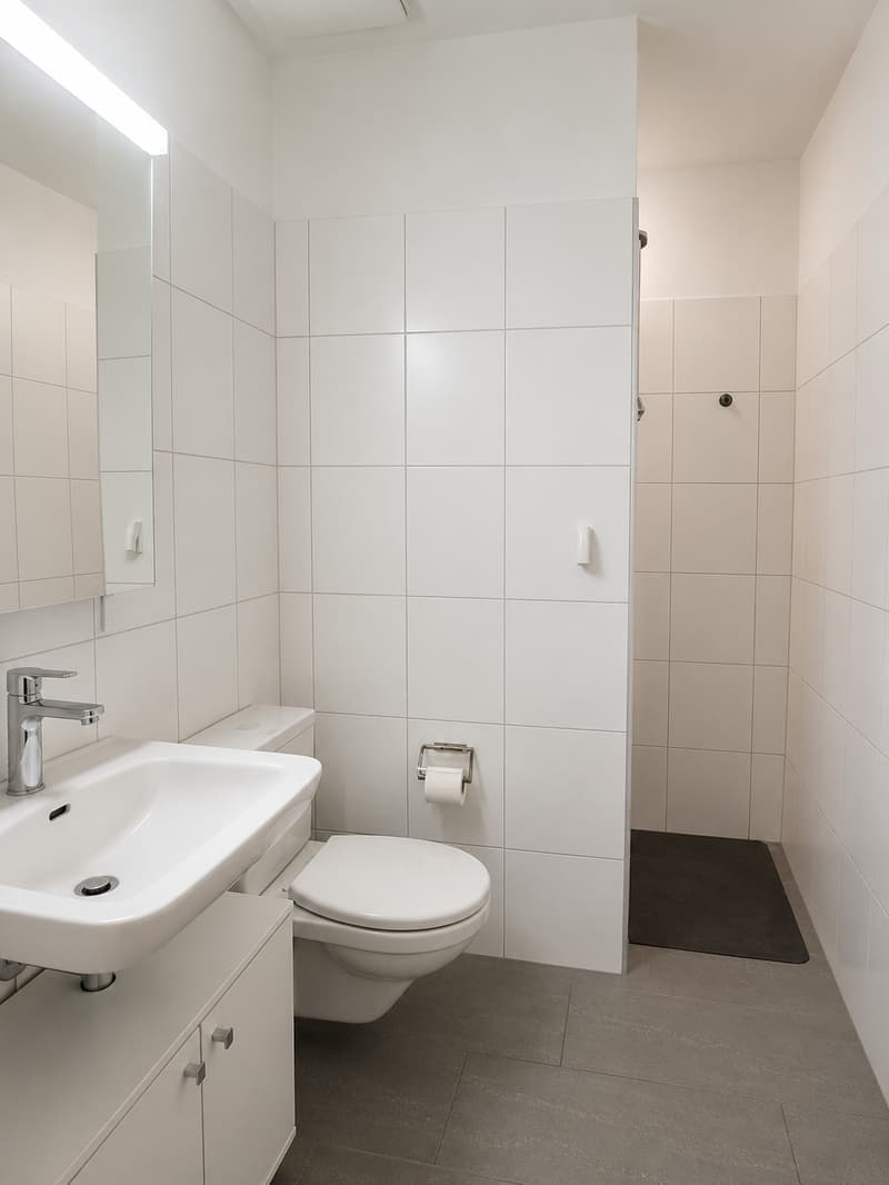 Bright Duplex 3.5-Room Apartment near Bahnhof Oerlikon (5)