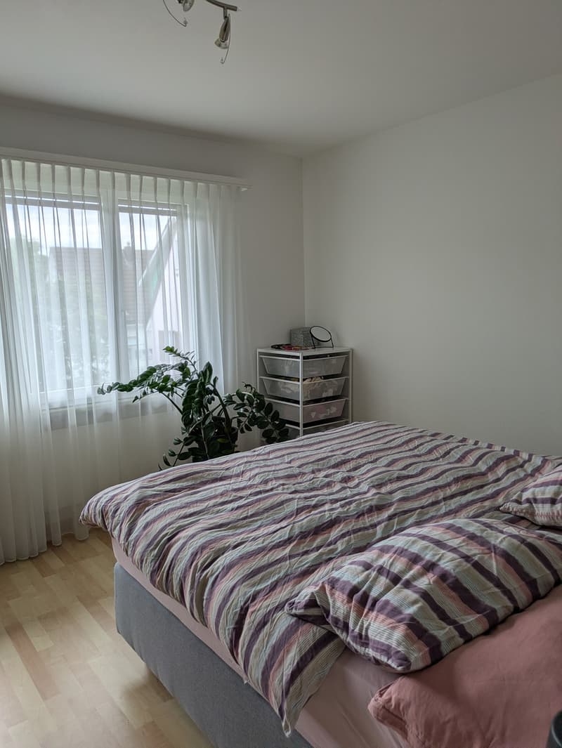 Helle 2.5-Zimmer-Wohnung zur Untermiete Zürich (7)