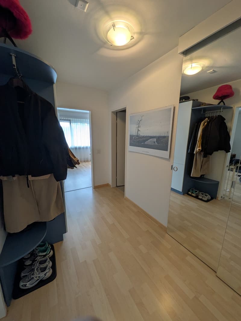 Helle 2.5-Zimmer-Wohnung zur Untermiete Zürich (10)