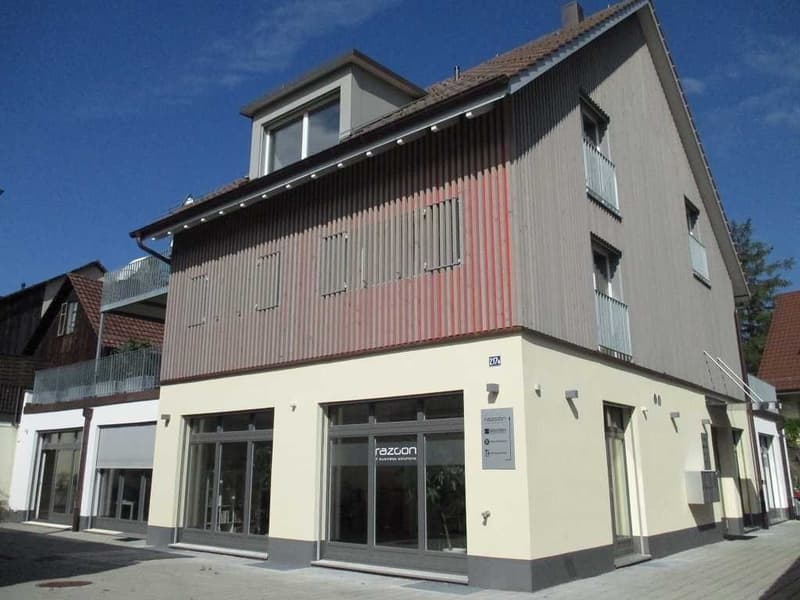 Tenant sought for exclusive 4.5 room maisonette apartment in Oberwinterthur (8)