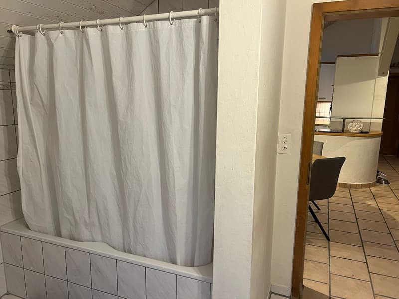 4,5 Zimmer Wohnug (9)