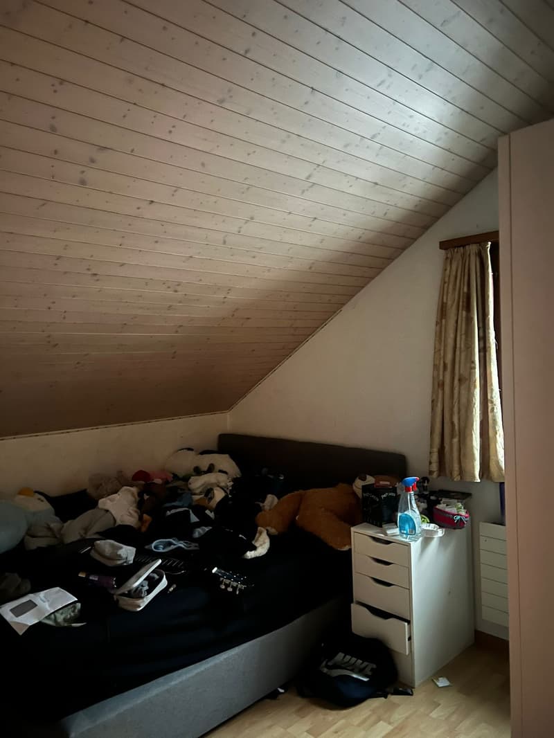 4,5 Zimmer Wohnug (6)