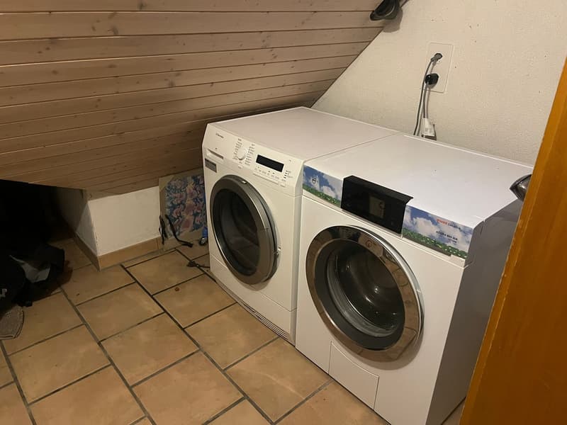 4,5 Zimmer Wohnug (4)