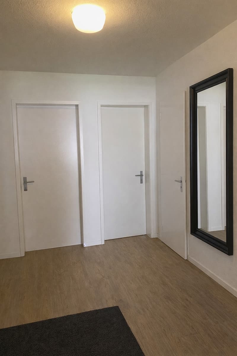 Appartement meublé de 3,5 pièces avec balcon dans le quartier de Matthof (Limité du 01.11.2026 au 30.04.2027) (5)