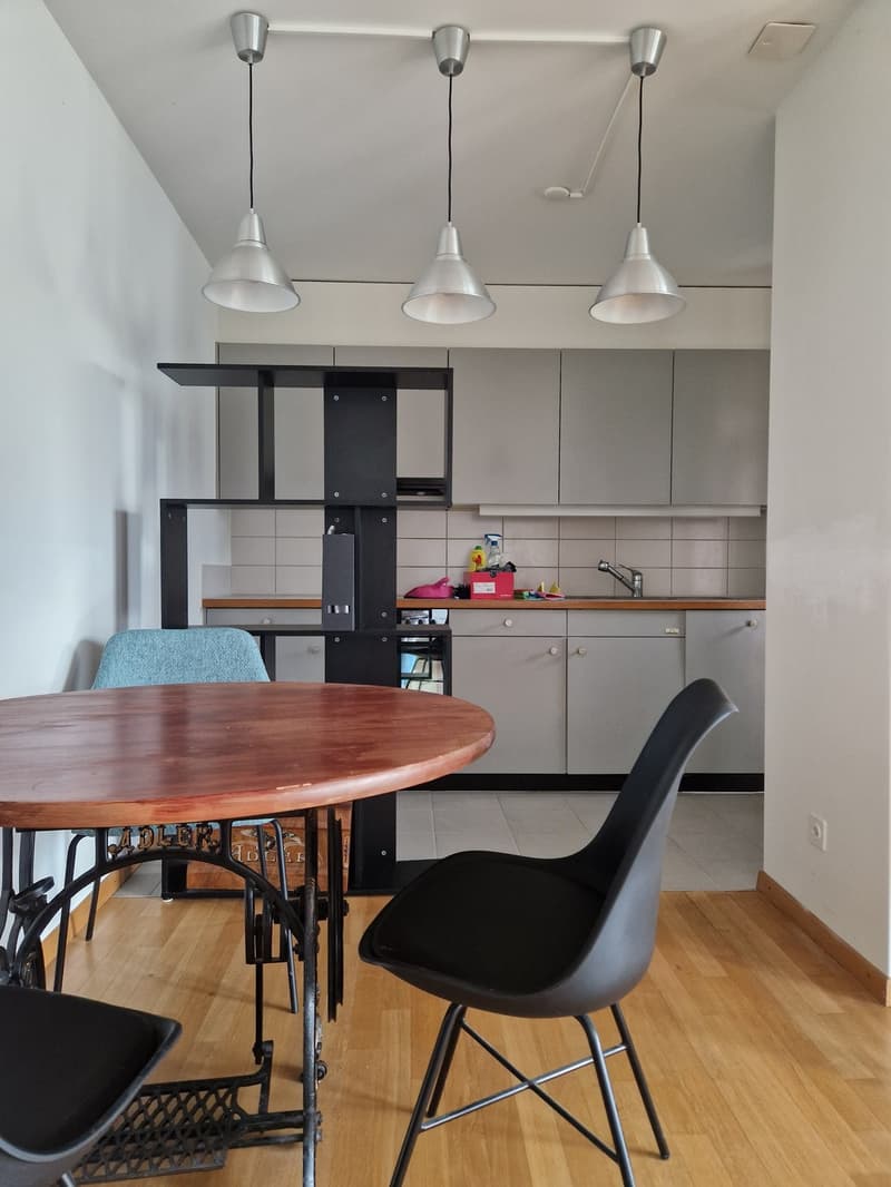 1.5 room apartment in Wipkingen (2)