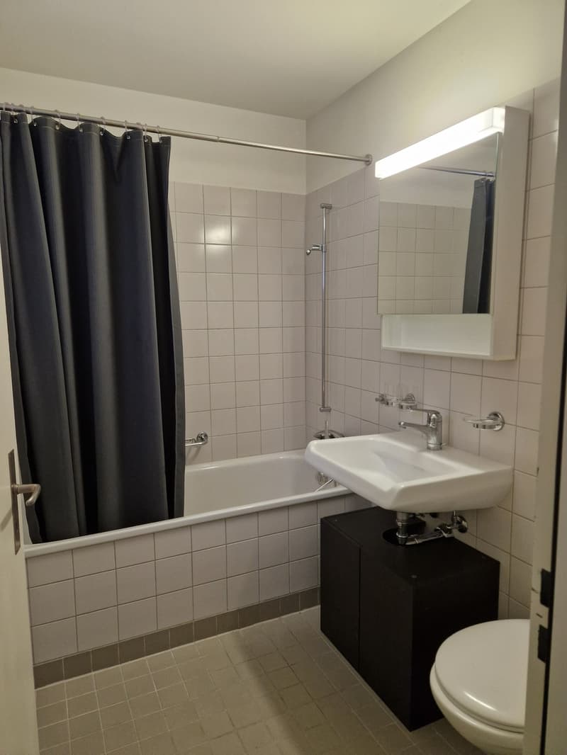 1.5 room apartment in Wipkingen (5)