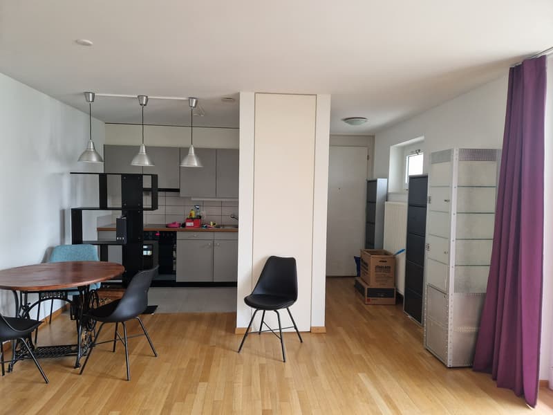 1.5 room apartment in Wipkingen (4)