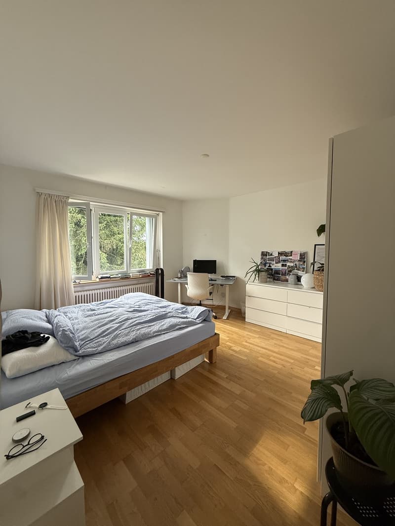 Bright, stylish 2-room apartment in Zurich District 6, limited until September 30, 2027, from July 1, 2026 (4)