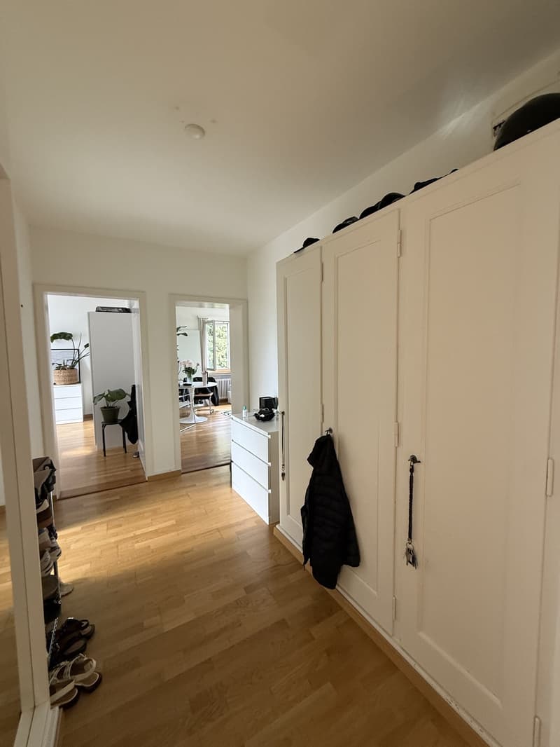 Bright, stylish 2-room apartment in Zurich District 6, limited until September 30, 2027, from July 1, 2026 (6)