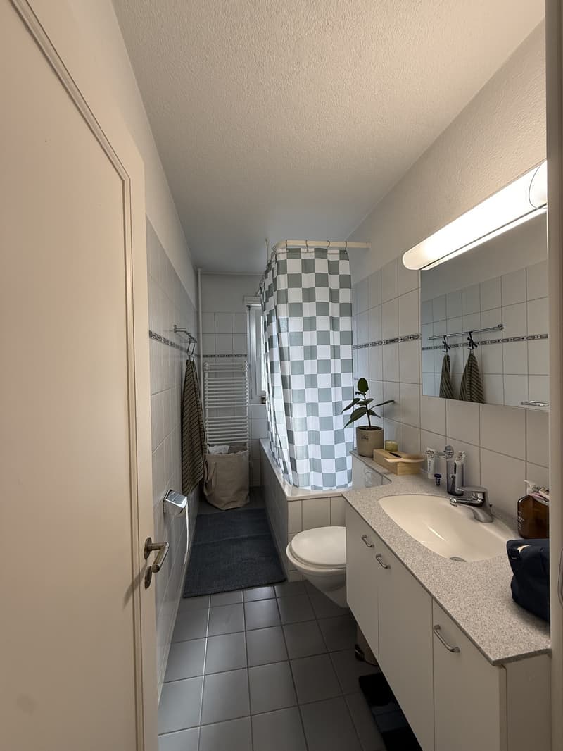 Bright, stylish 2-room apartment in Zurich District 6, limited until September 30, 2027, from July 1, 2026 (5)