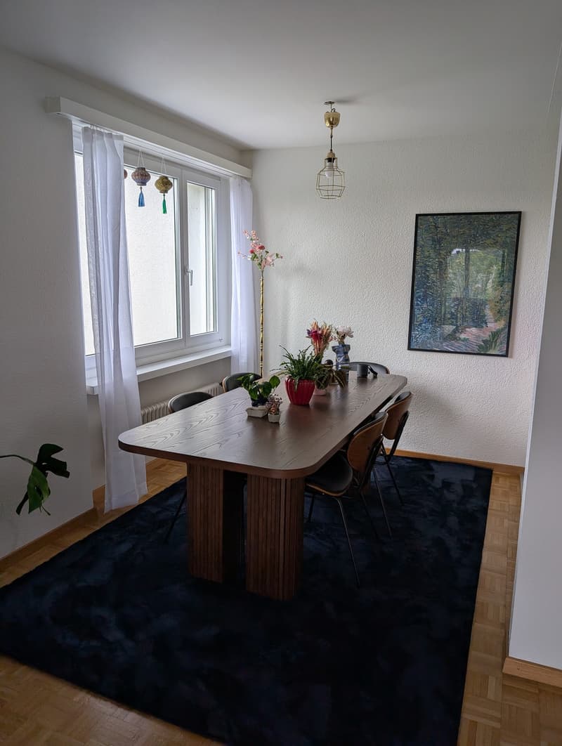 2.5-Zimmer-Wohnung in Zürich Triemli zur Untermiete (04.12.2026  30.01.2027) (6)
