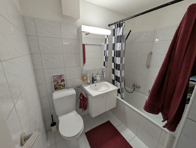 2.5-Zimmer-Wohnung in Zürich Triemli zur Untermiete (04.12.2026  30.01.2027) (2)