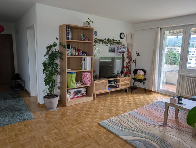 2.5-Zimmer-Wohnung in Zürich Triemli zur Untermiete (04.12.2026  30.01.2027) (3)