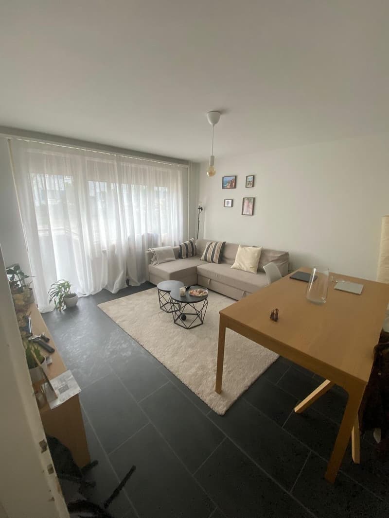 Appartamento di 2 ½ locali, 8055 Zurigo (2)