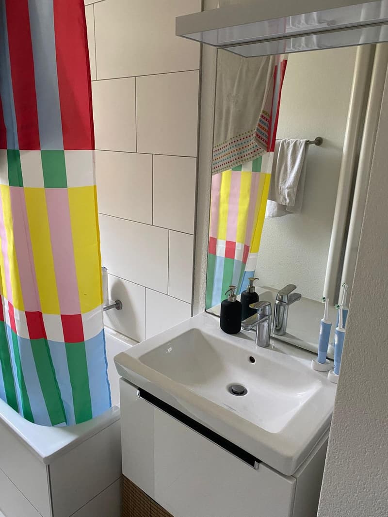 Appartamento di 2 ½ locali, 8055 Zurigo (3)