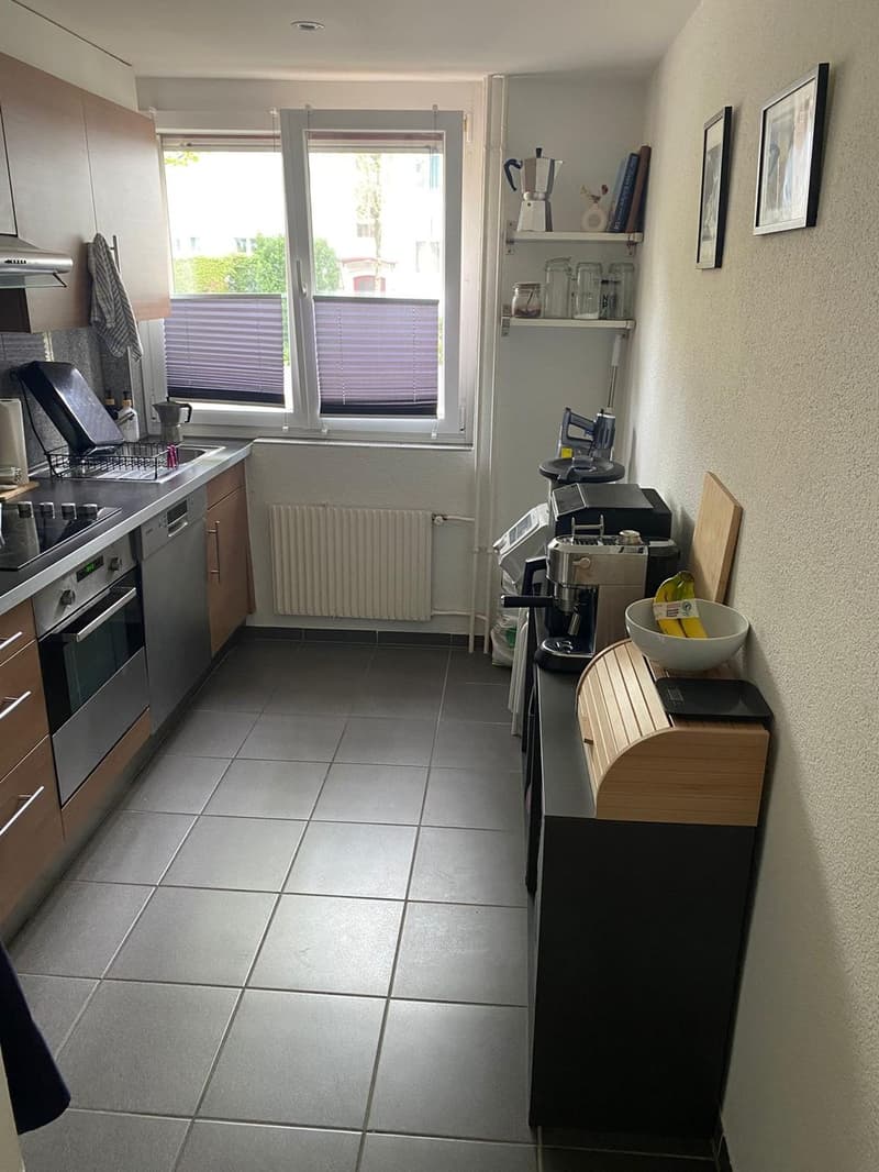 Appartamento di 2 ½ locali, 8055 Zurigo (9)