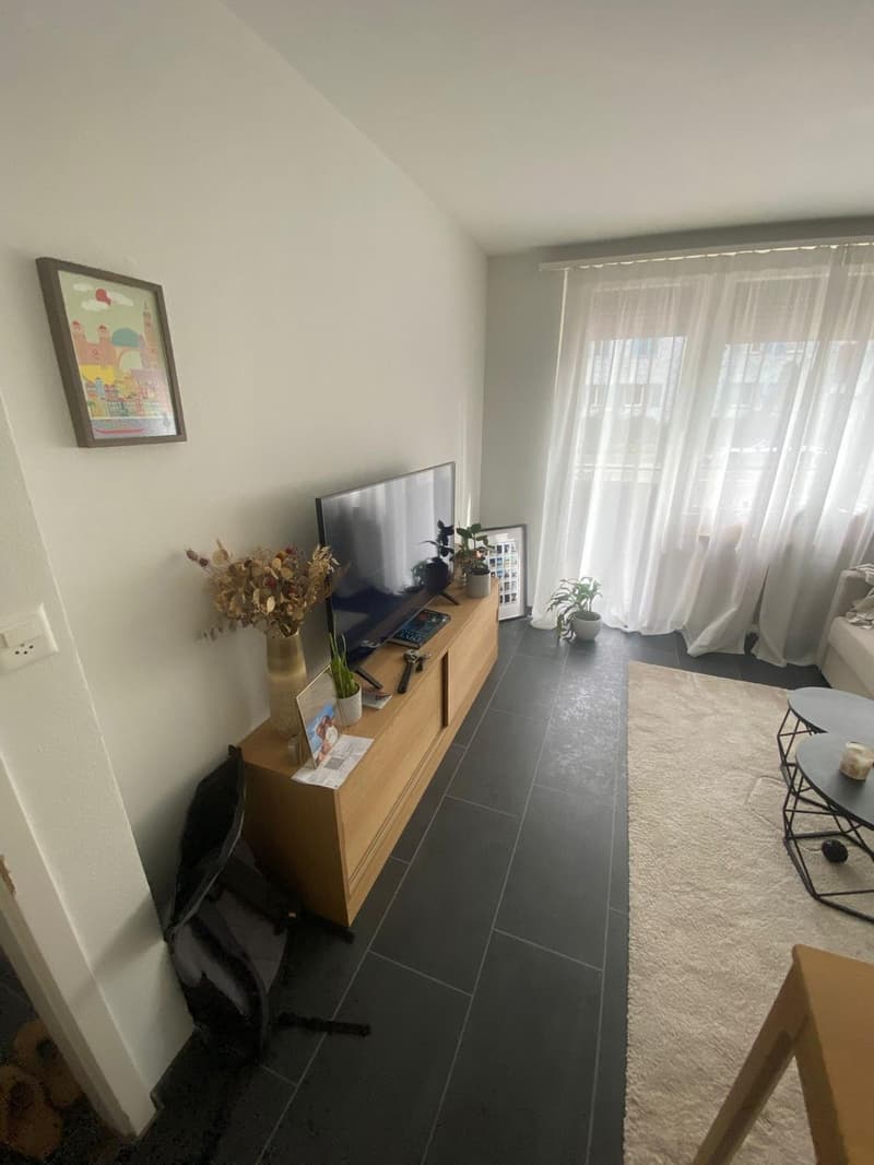 Appartamento di 2 ½ locali, 8055 Zurigo (7)