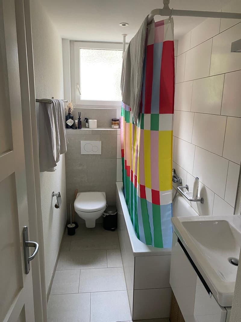 Appartamento di 2 ½ locali, 8055 Zurigo (4)