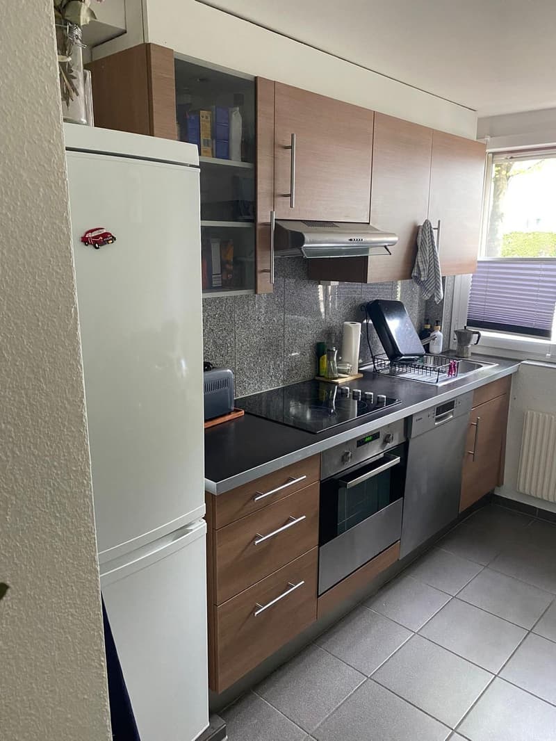 Appartamento di 2 ½ locali, 8055 Zurigo (10)