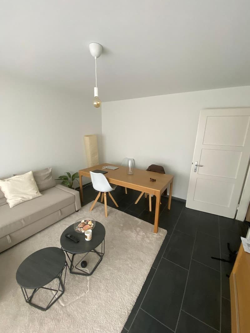 Appartamento di 2 ½ locali, 8055 Zurigo (5)