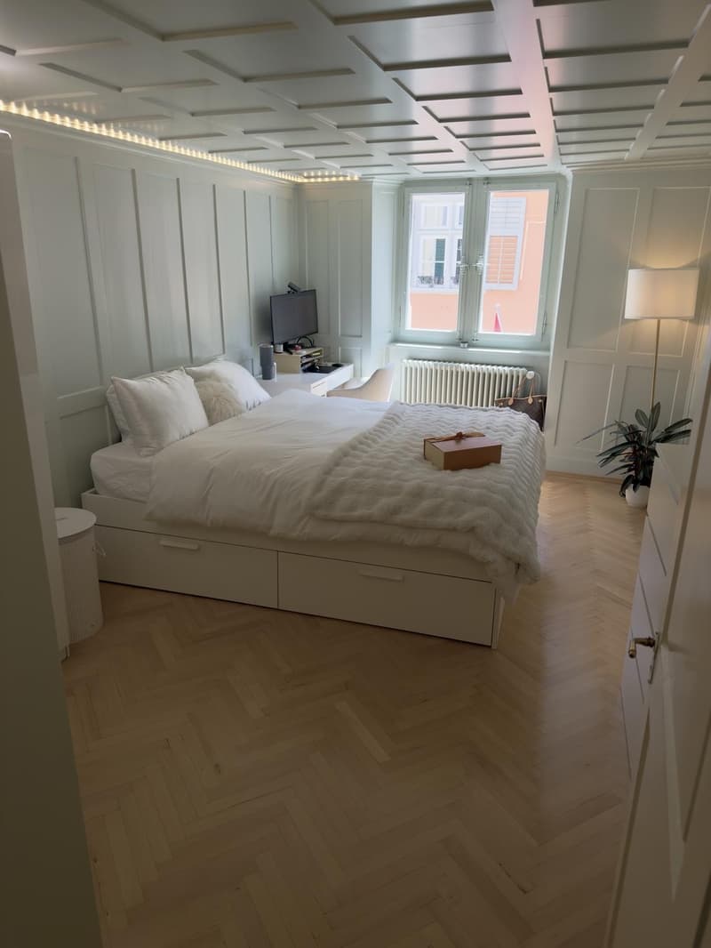 Chambre meublée dans un appartement de charme en vieille ville et terrasse privée (option pour un bail à long terme) (1)