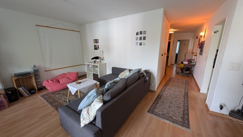 4.5 Zimmerwohnung in Glattbrugg (3)