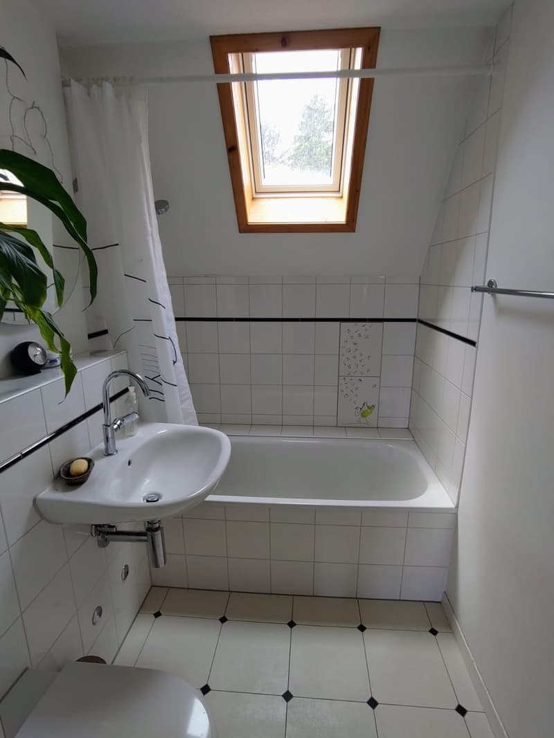 3-Bedroom Attic Apartment (10)